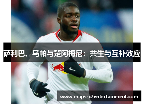 萨利巴、乌帕与楚阿梅尼：共生与互补效应