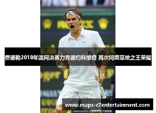 费德勒2018年温网决赛力克德约科维奇 再次问鼎草地之王荣耀