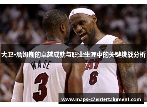 大卫·詹姆斯的卓越成就与职业生涯中的关键挑战分析