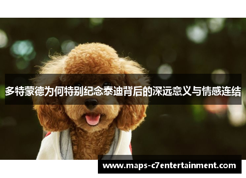 多特蒙德为何特别纪念泰迪背后的深远意义与情感连结