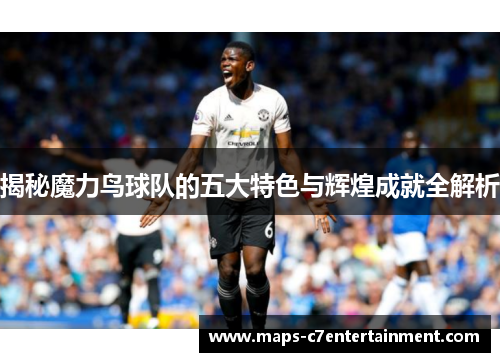 揭秘魔力鸟球队的五大特色与辉煌成就全解析