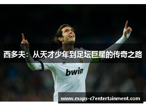 西多夫：从天才少年到足坛巨星的传奇之路