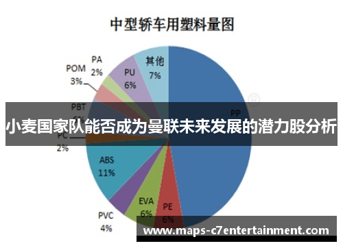 小麦国家队能否成为曼联未来发展的潜力股分析 小麦国家队能否成为曼联未来发展的潜力股分析