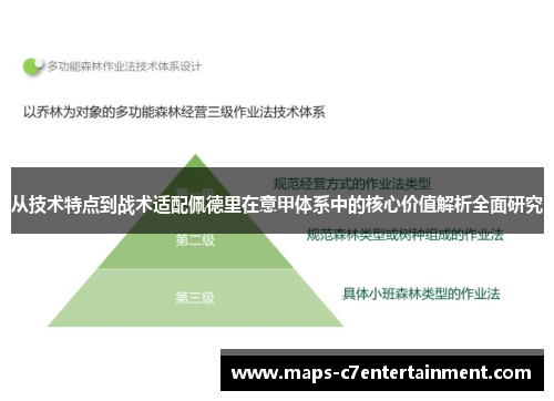 从技术特点到战术适配佩德里在意甲体系中的核心价值解析全面研究